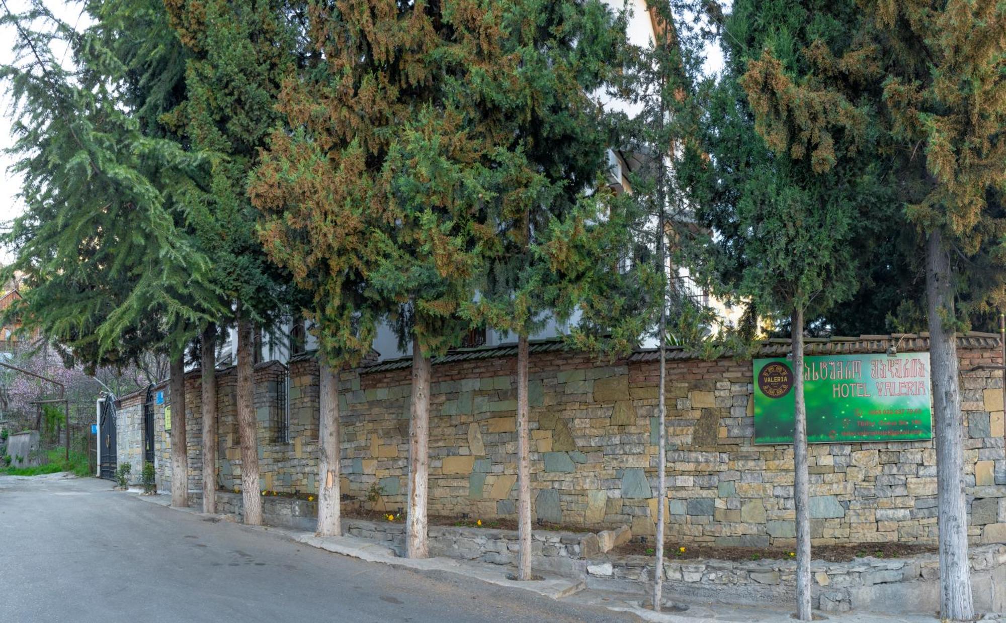 Venesa Hostel Tbilisi Exterior photo